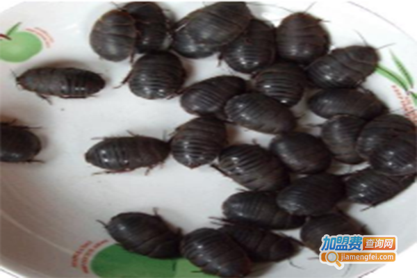 中科9号土元加盟门店