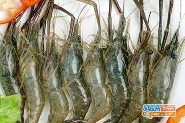 纯淡水基围虾养殖加盟费