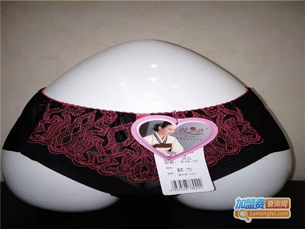 韩之恋时尚内衣加盟费