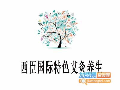 西臣国际特色艾灸养生加盟费