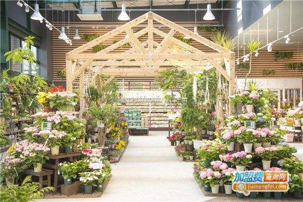 花译创意花店加盟费