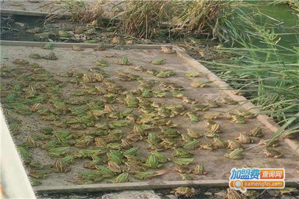 年连富养殖加盟费