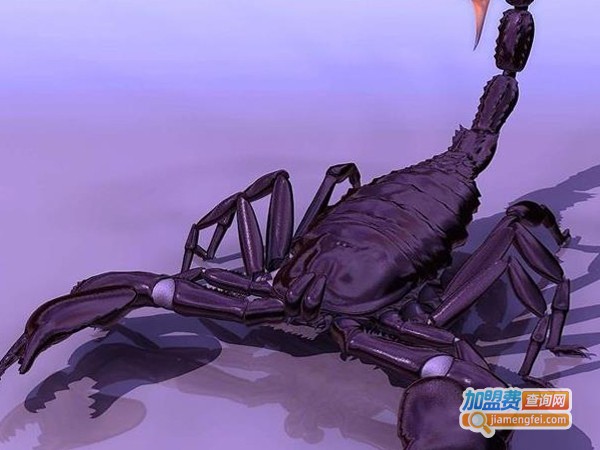 嘉和6号蝎子加盟费