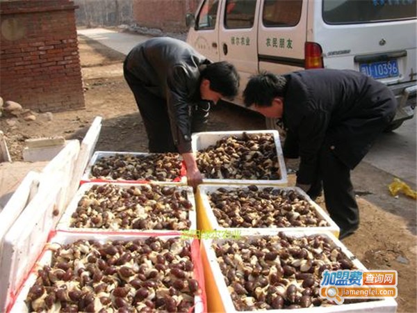 绿尔白玉蜗牛加盟门店