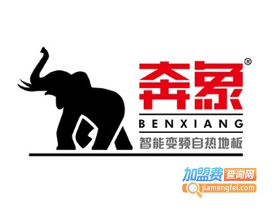 奔象自热地板