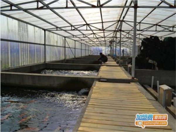 利民9号养殖加盟门店