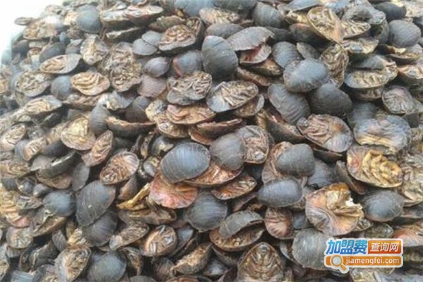 农博源3号土元加盟费