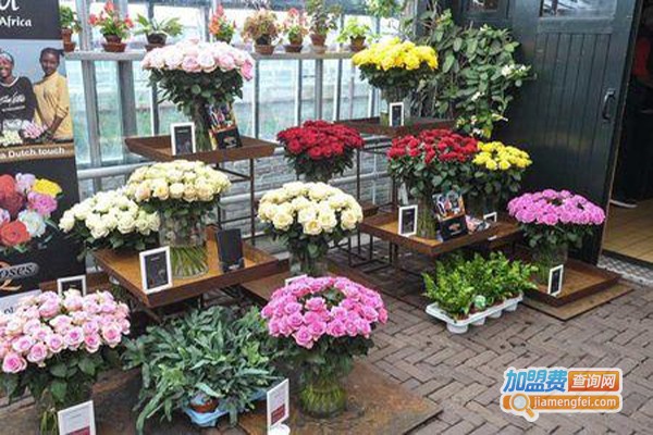 爱然园艺加盟费