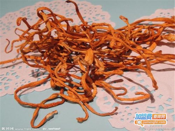 湘农虫草加盟门店