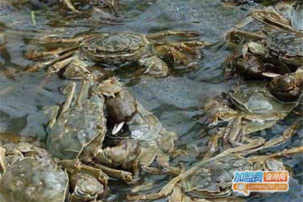 二力河蟹养殖加盟加盟费