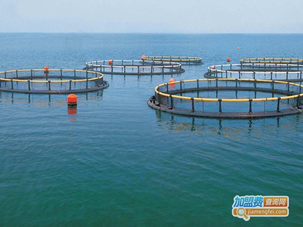 华夏水产长江养殖加盟费