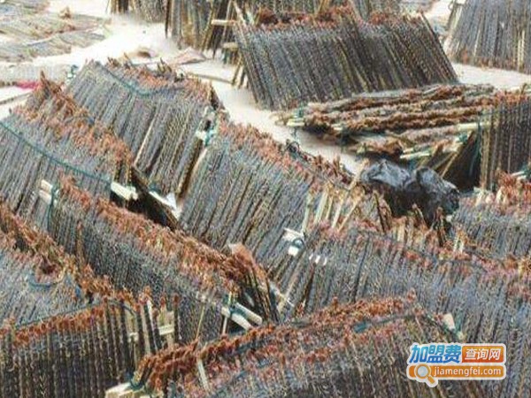 圣民蜈蚣养殖加盟费