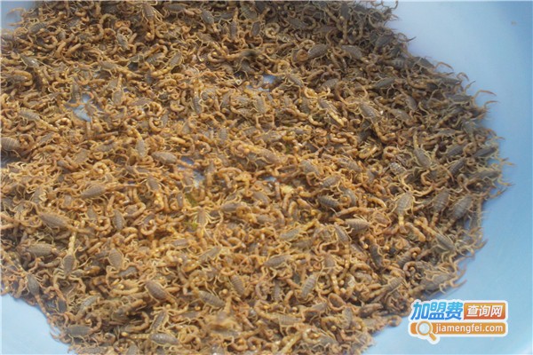 农大七号药蝎加盟费