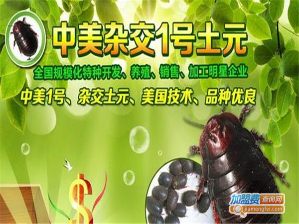 科迪诺中美杂交一号土元加盟门店