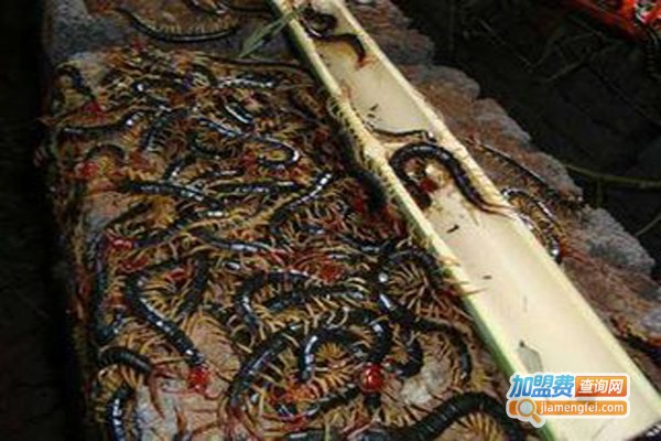 金瑞一号蜈蚣加盟费