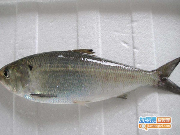 华夏水产长江养殖加盟费