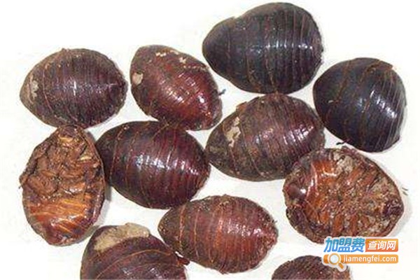 欣韵中华八号土元加盟费