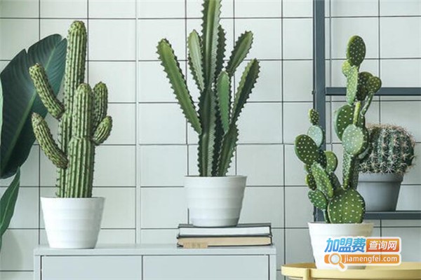 CNHGL家居饰品加盟费