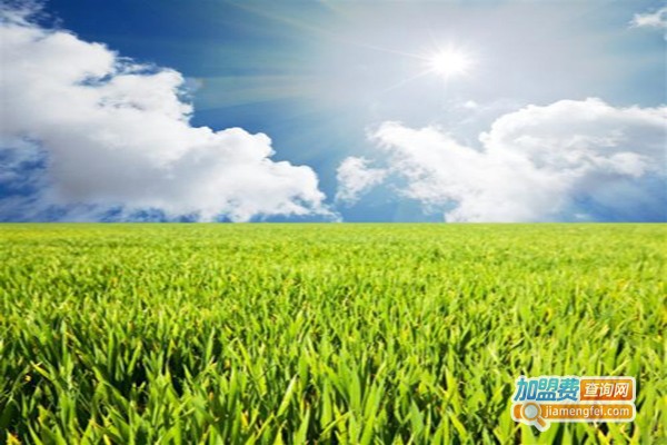 植彩坊智能加盟费