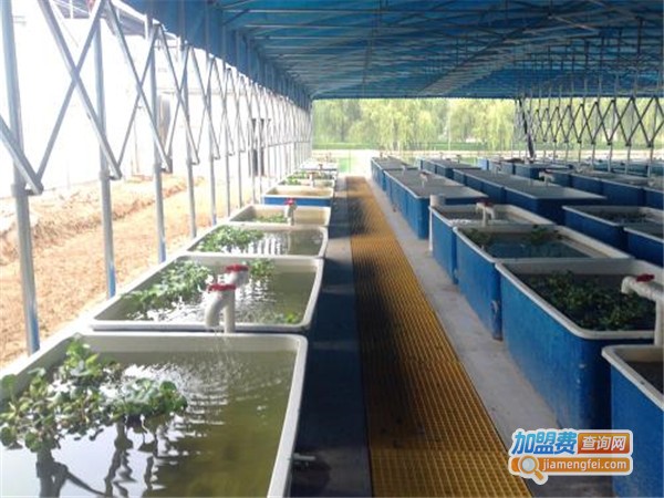 金烨养殖加盟门店