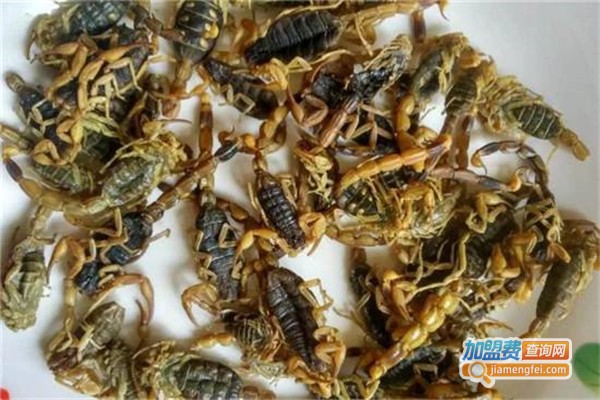 农大七号药蝎加盟费