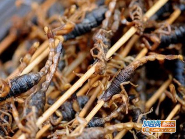 武源七号蝎子加盟费