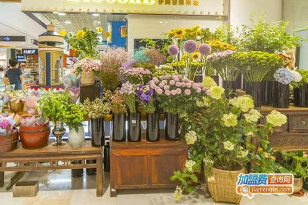 爱然园艺加盟费