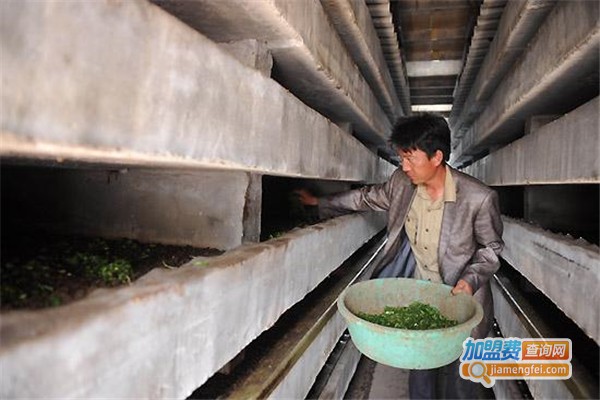 益民9号土元加盟费