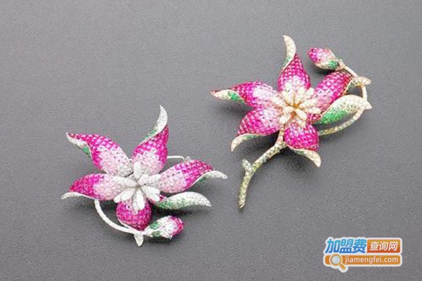 可乐女孩饰品加盟费