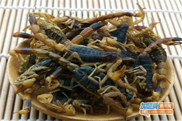 万农8号药蝎加盟费