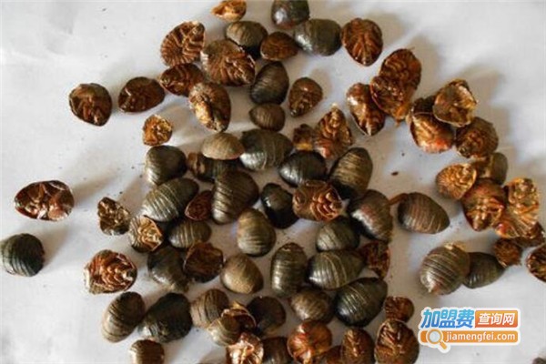 农博源3号土元加盟费