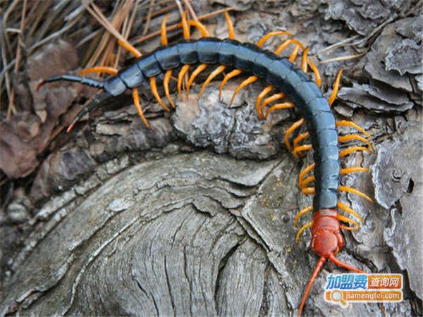 金烨养殖加盟门店