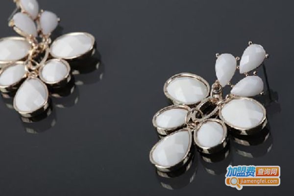 爬山虎饰品加盟费