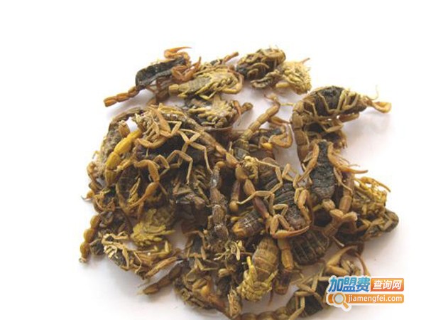 金瑞全蝎加盟费