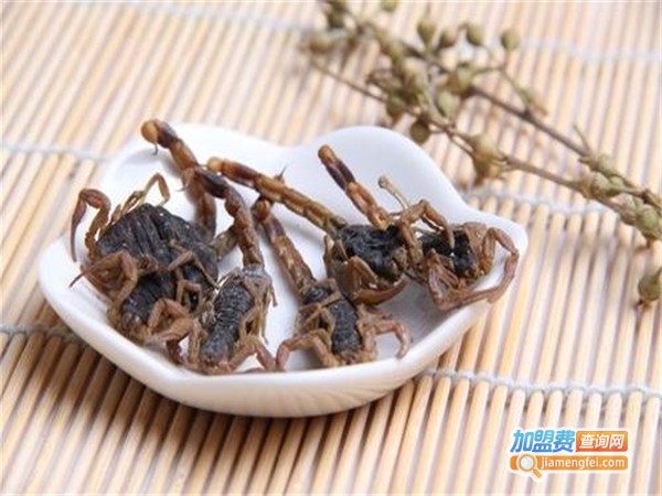 金丰全蝎加盟门店