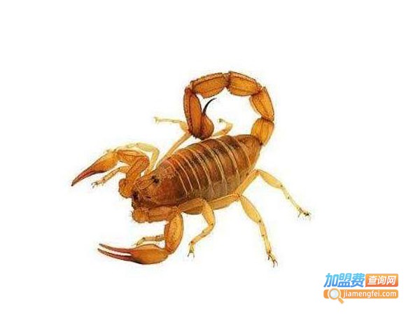 农丰蝎霸加盟费