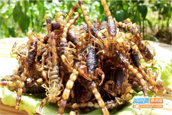 鑫农一号药蝎加盟费