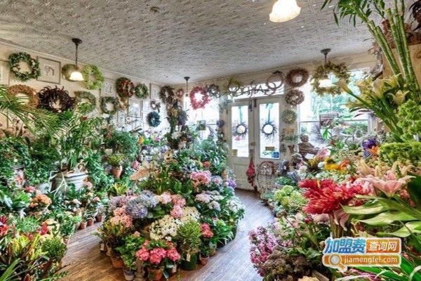 爱然园艺加盟费