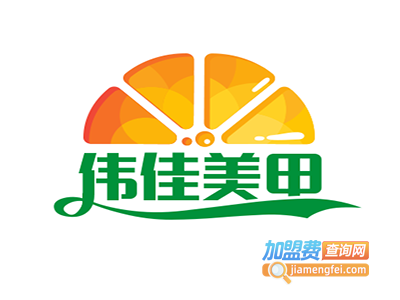 伟佳美甲加盟费