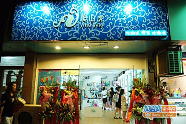 爬山虎饰品加盟费