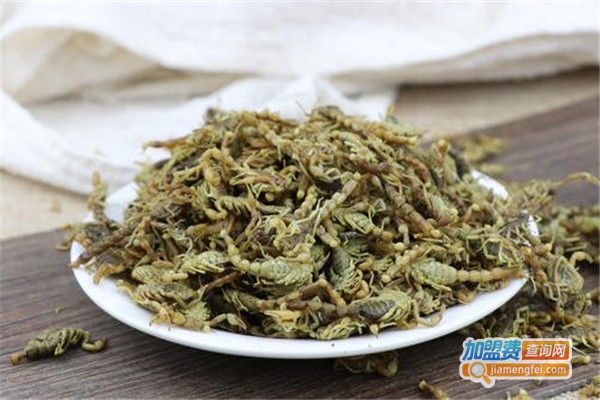 京***蝎养殖加盟费