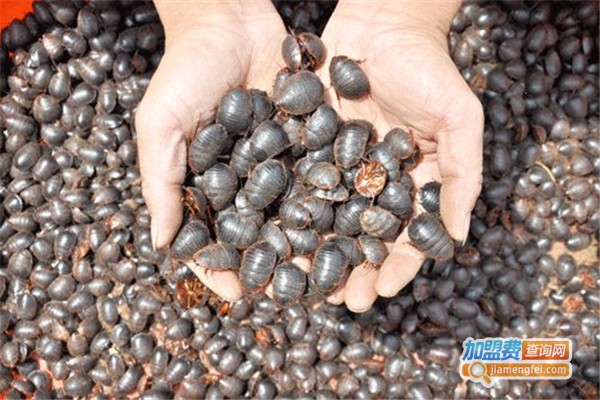 益民9号土元加盟费