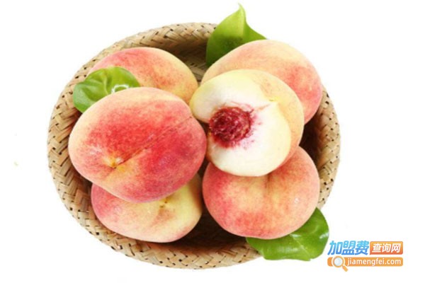 鲜直达果蔬加盟费