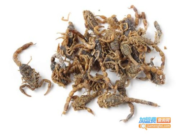 金丰全蝎加盟门店