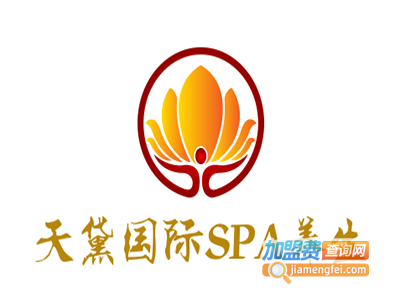 天黛国际SPA养生加盟费