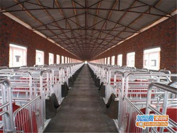 利民9号养殖加盟门店