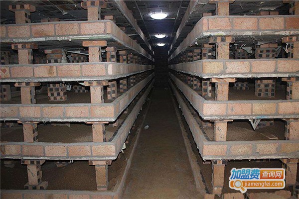 益民9号土元加盟费