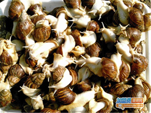 绿尔白玉蜗牛加盟门店