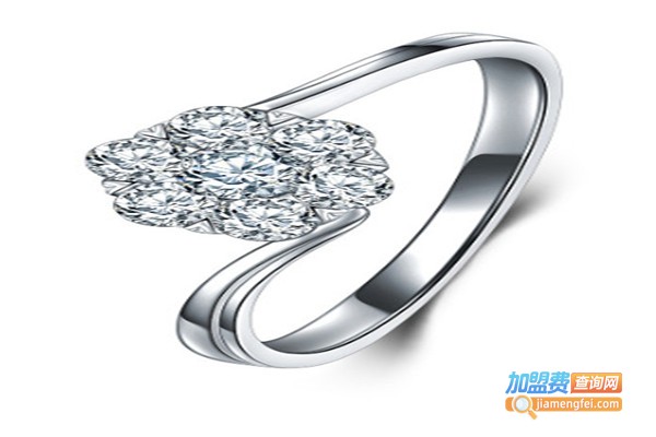 唯尊银饰加盟费