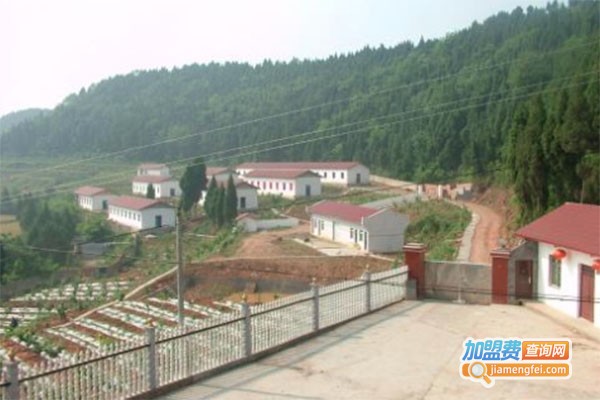 富民土元加盟费